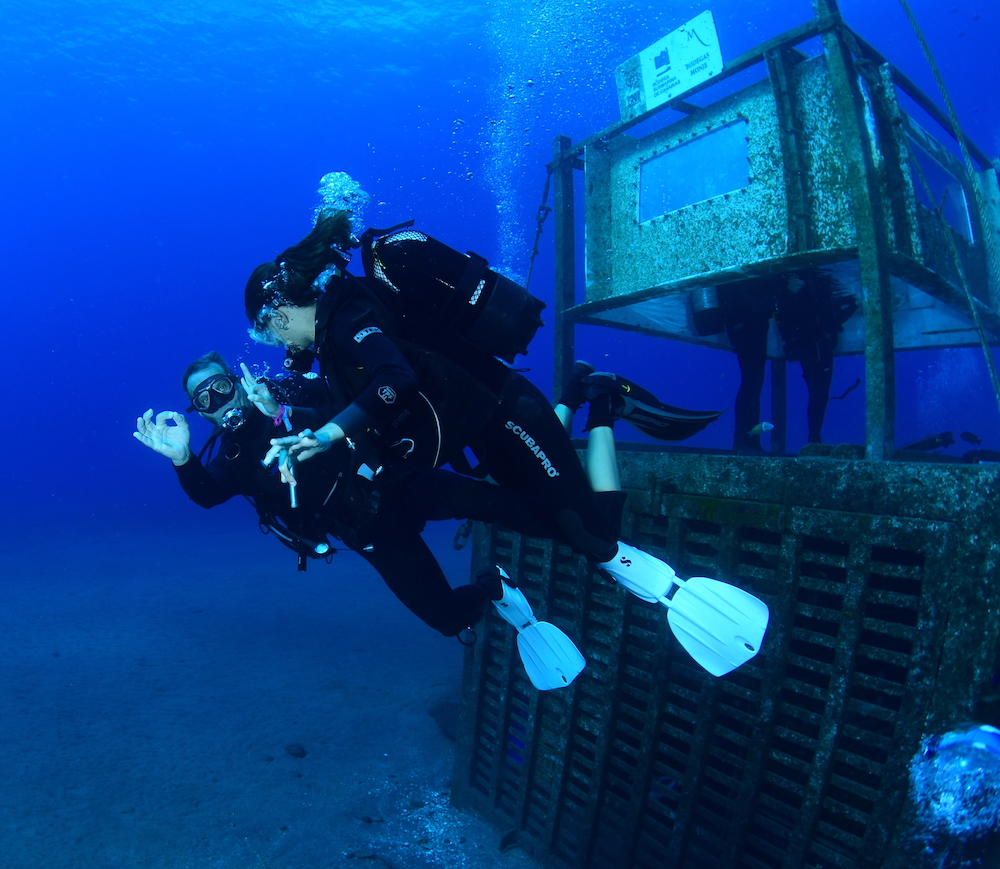 Plongée sous marine - Domaine de l'Argentière